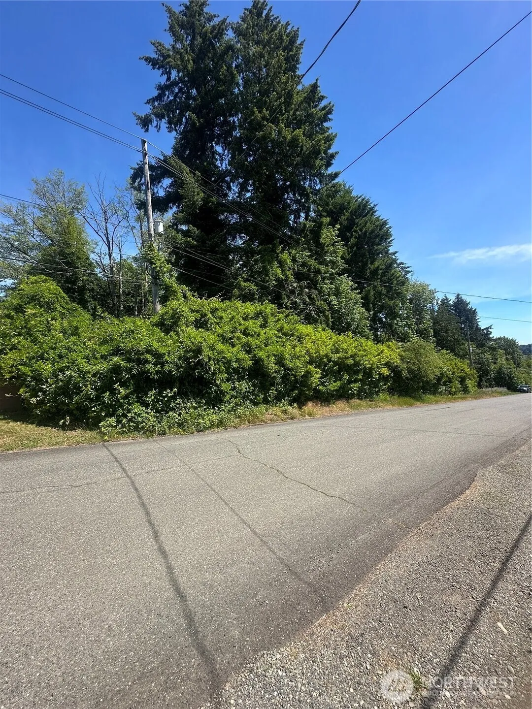 Property photo for 0 W Harvard Avenue, Shelton photo 3
