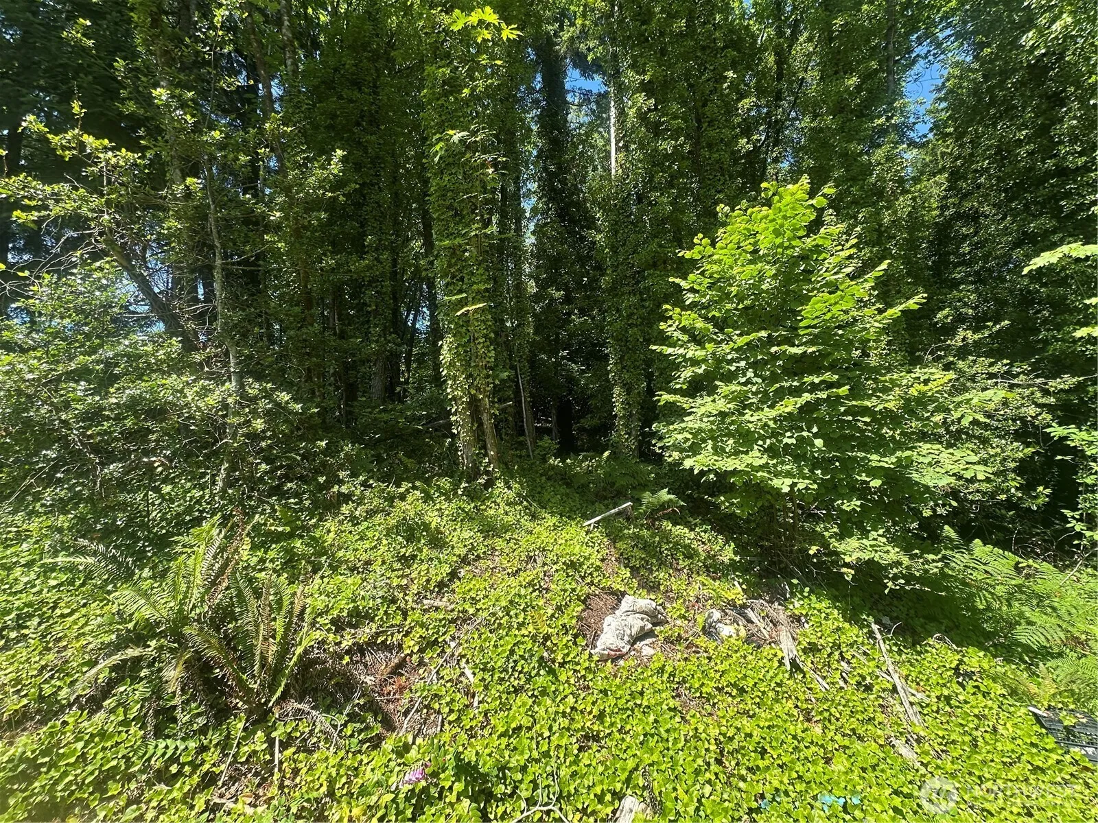 Property photo for 0 W Harvard Avenue, Shelton