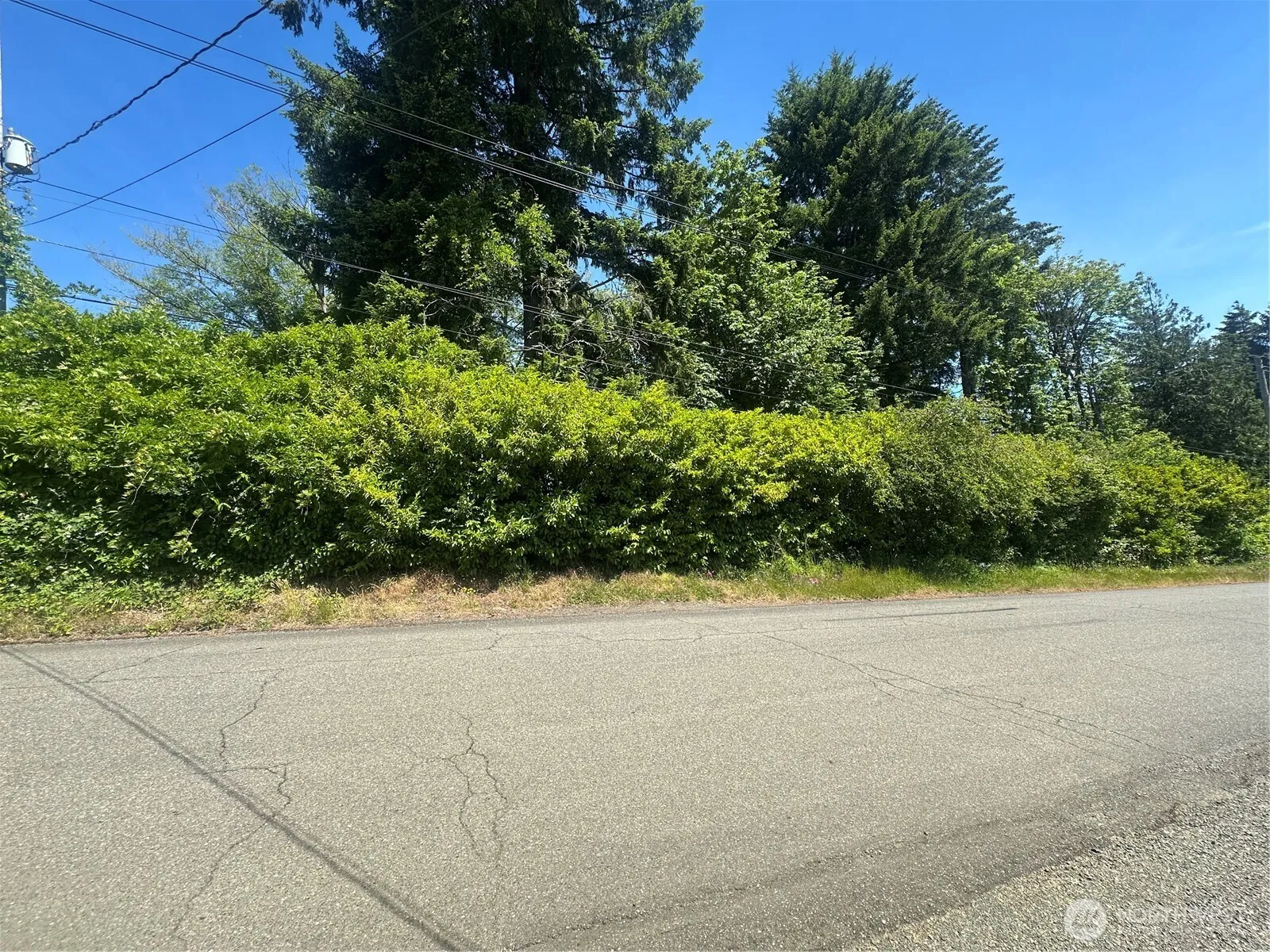 Property photo for 0 W Harvard Avenue, Shelton photo 5