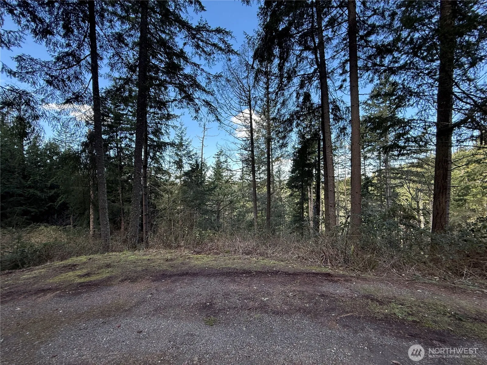 Property photo for 1546 Reservation Road Se #124, Olympia photo 4
