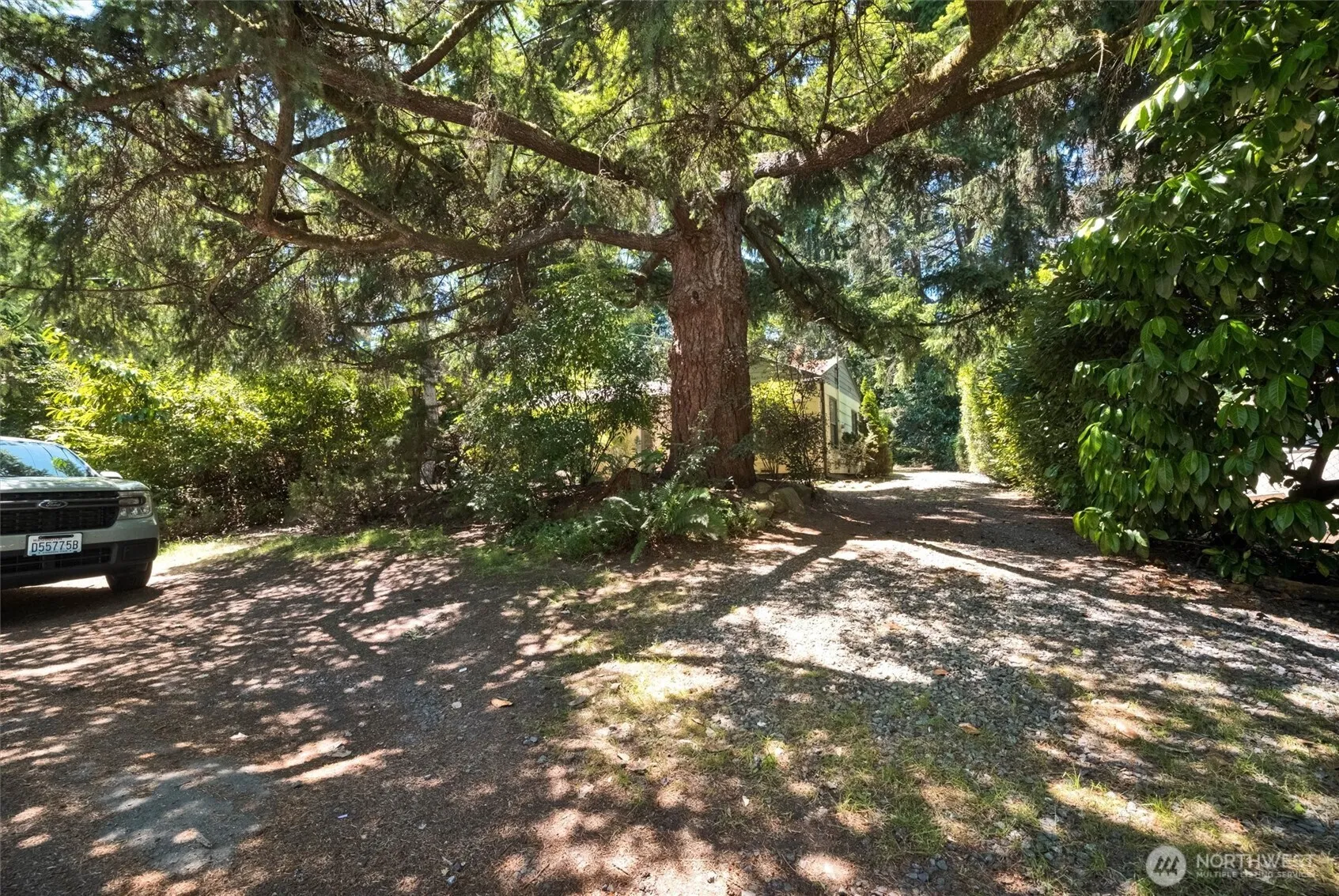 Property photo for 13753 Stone Avenue N, Seattle photo 3