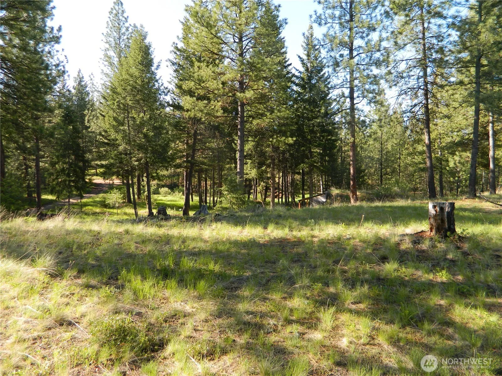Property photo for 151 Indian Mary Loop Road, Tonasket photo 4