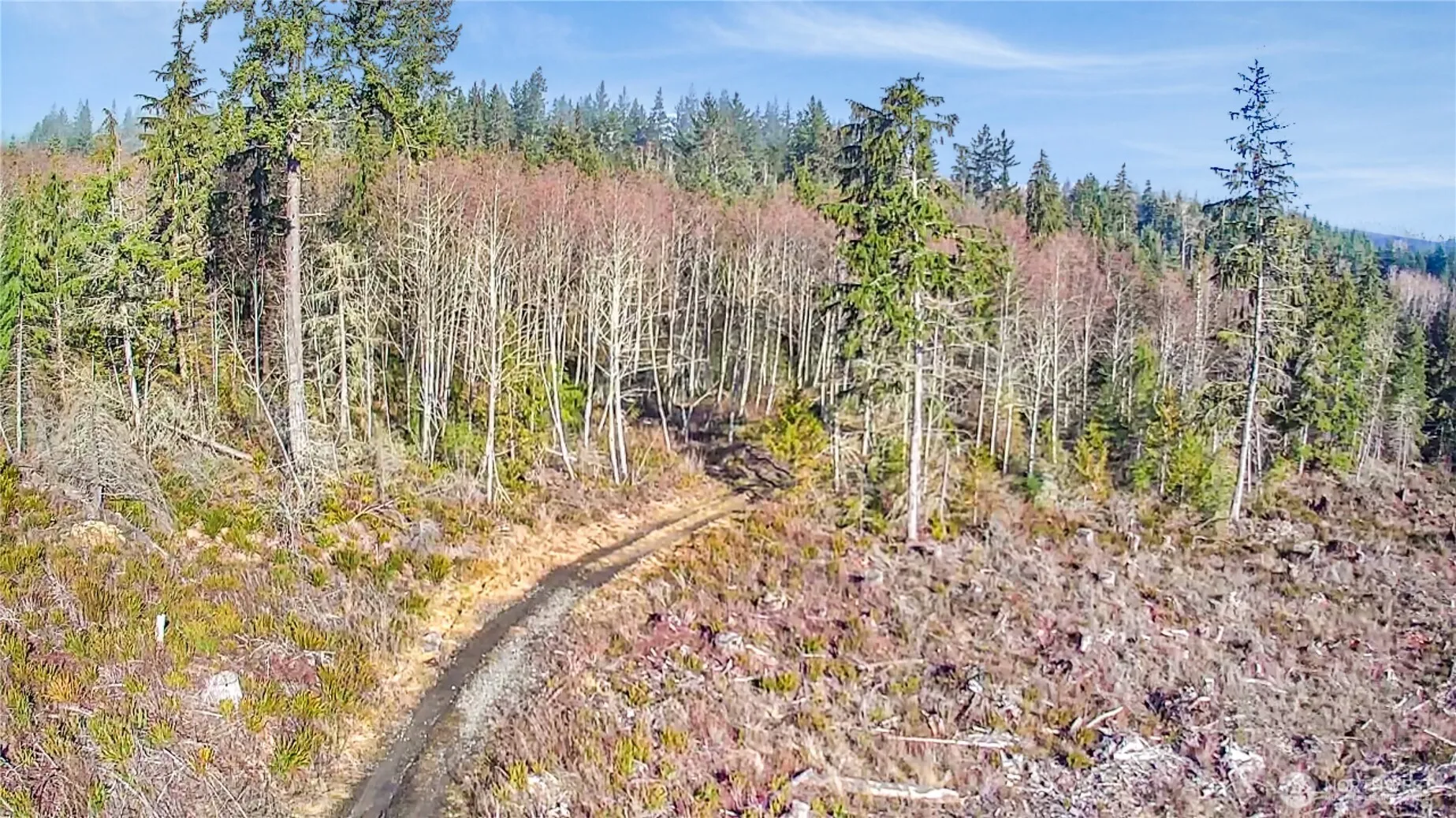 Property photo for 0 B-1000 Road, Sequim photo 2
