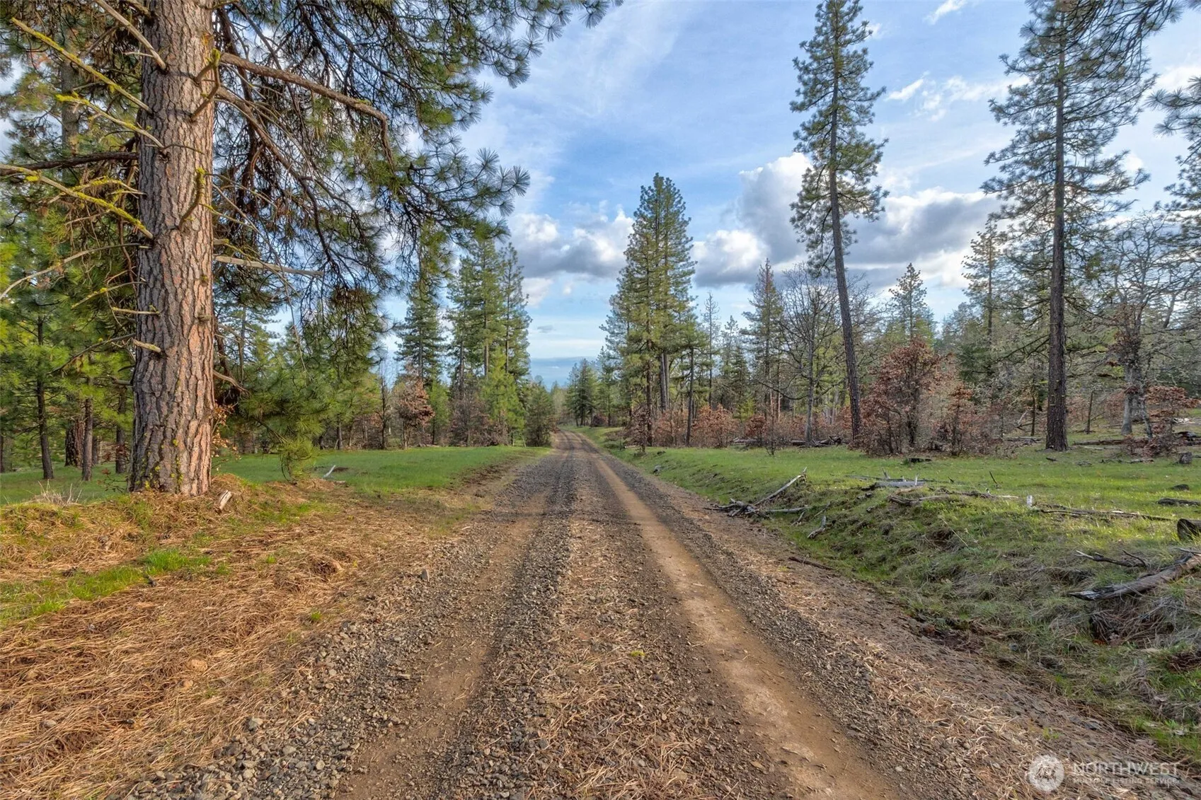 Property photo for 0 Lot 15 Greyback Mt Road, Goldendale photo 3