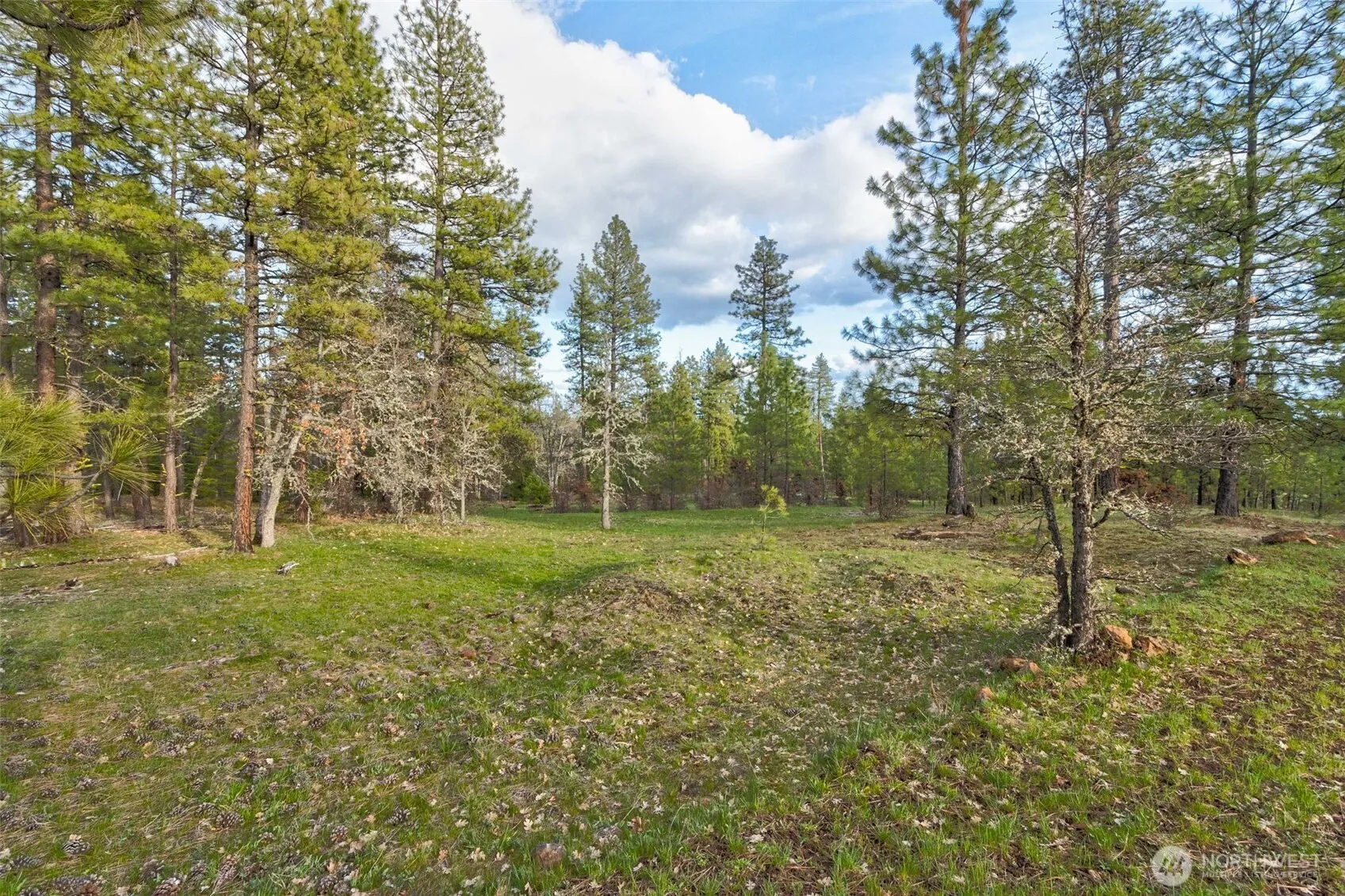 Property photo for 0 Lot 15 Greyback Mt Road, Goldendale photo 5