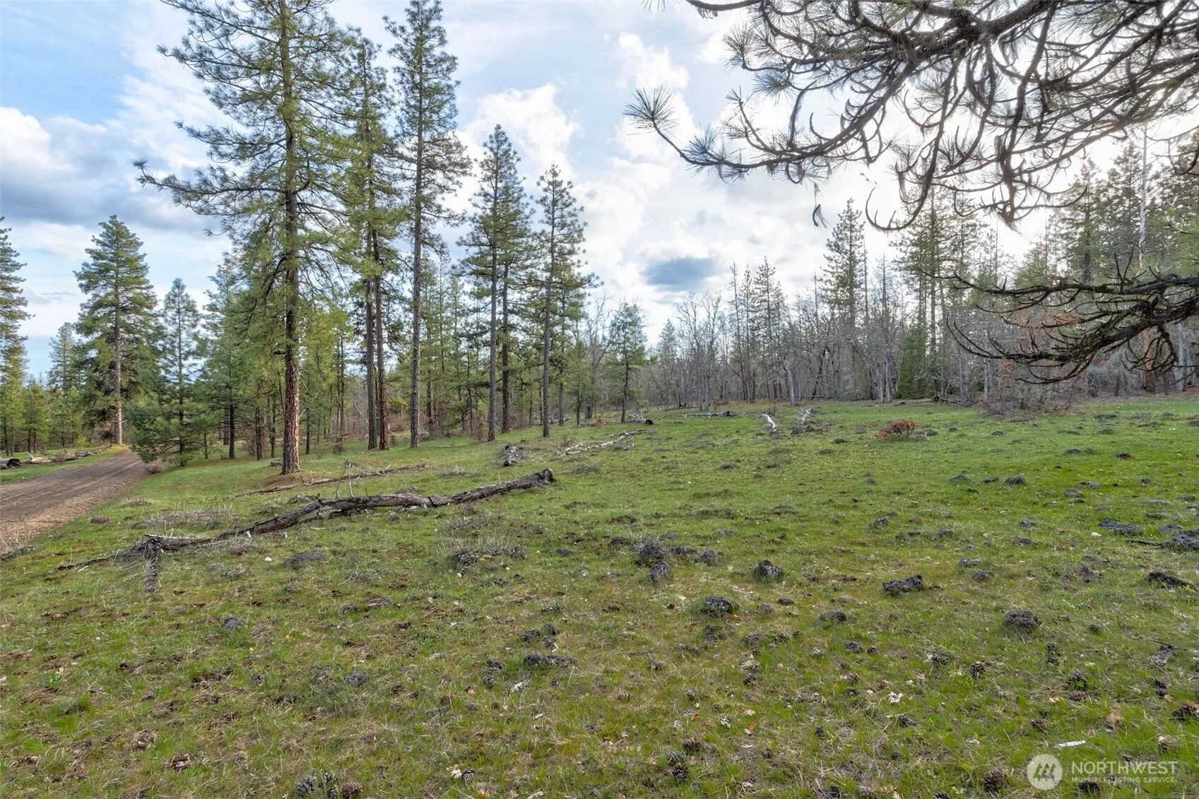 Property photo for 0 Lot 15 Greyback Mt Road, Goldendale photo 4