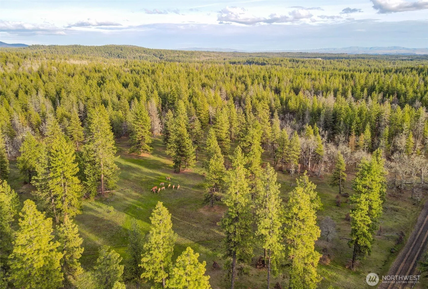 Property photo for 0 Lot 15 Greyback Mt Road, Goldendale