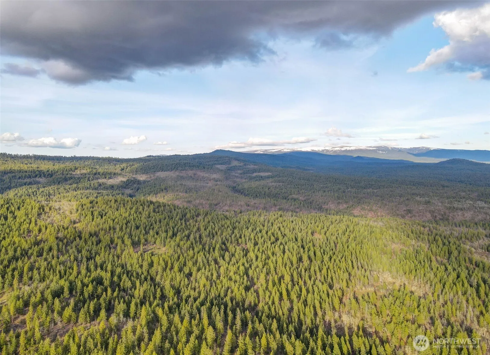 Property photo for 0 Lot 15 Greyback Mt Road, Goldendale photo 2