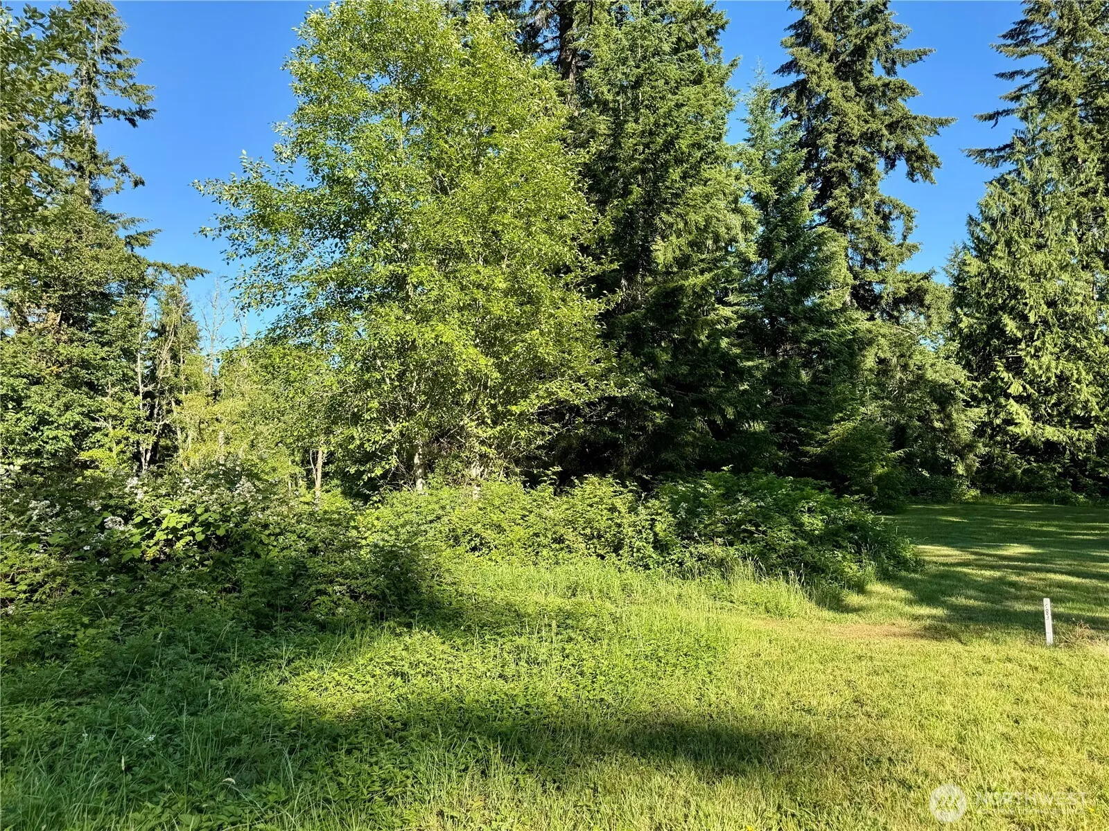 Property photo for 19112 Lerch Road, Snohomish photo 5