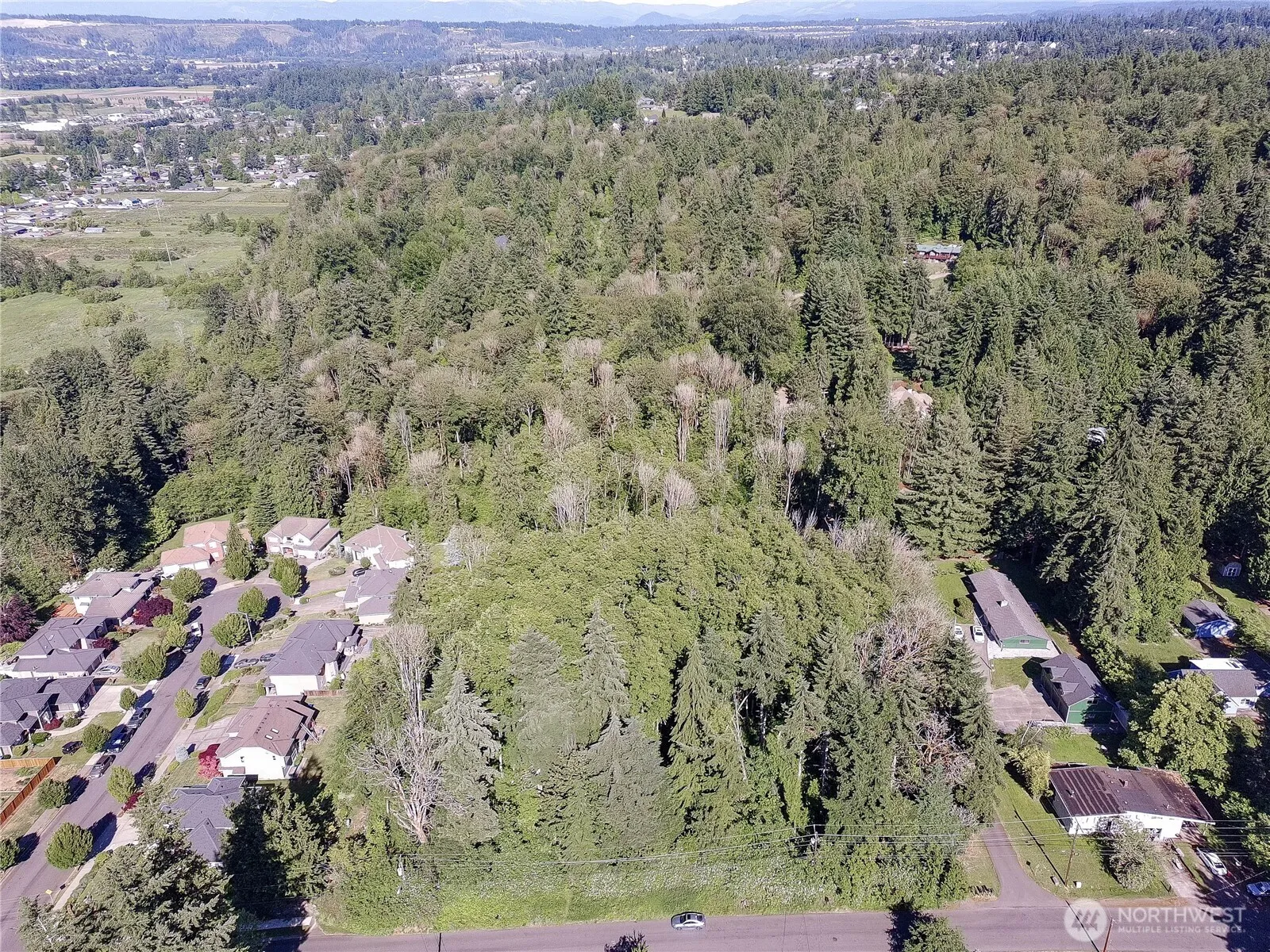 Property photo for 1701 13th Street Se, Puyallup photo 2