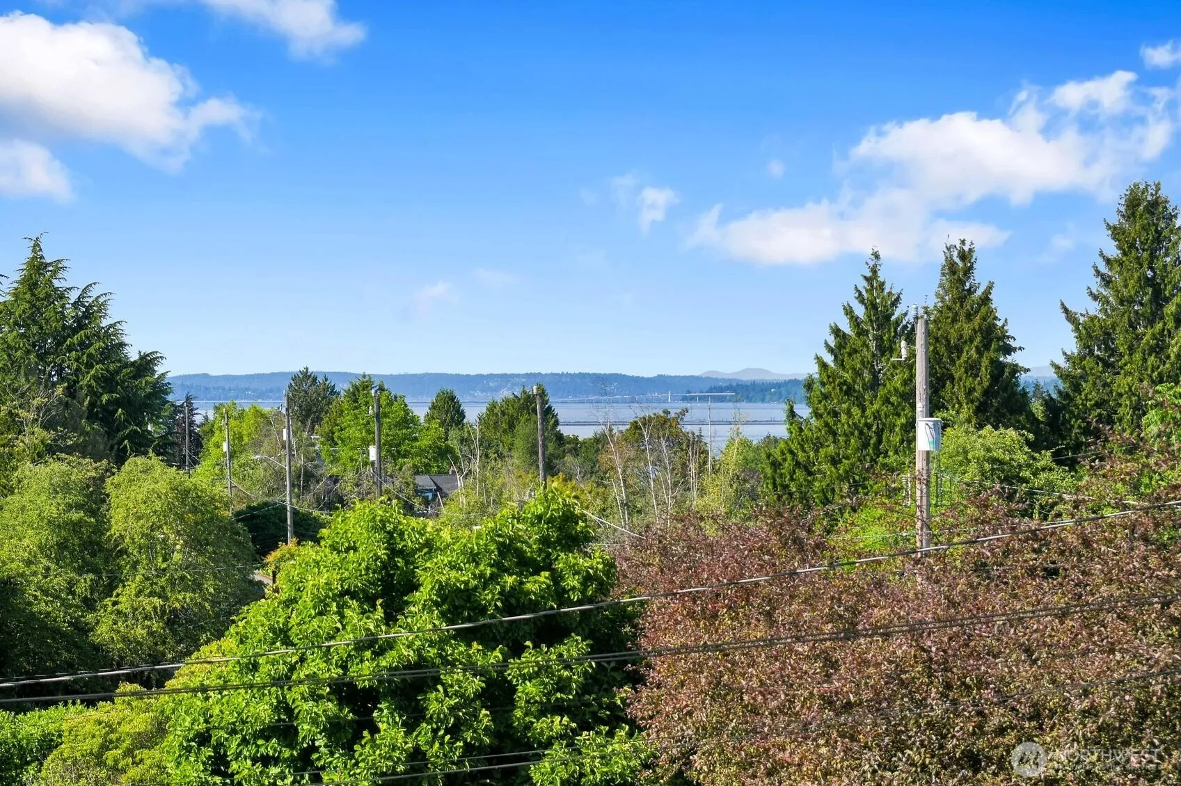 Property photo for 4631 48th Avenue S, Seattle photo 3