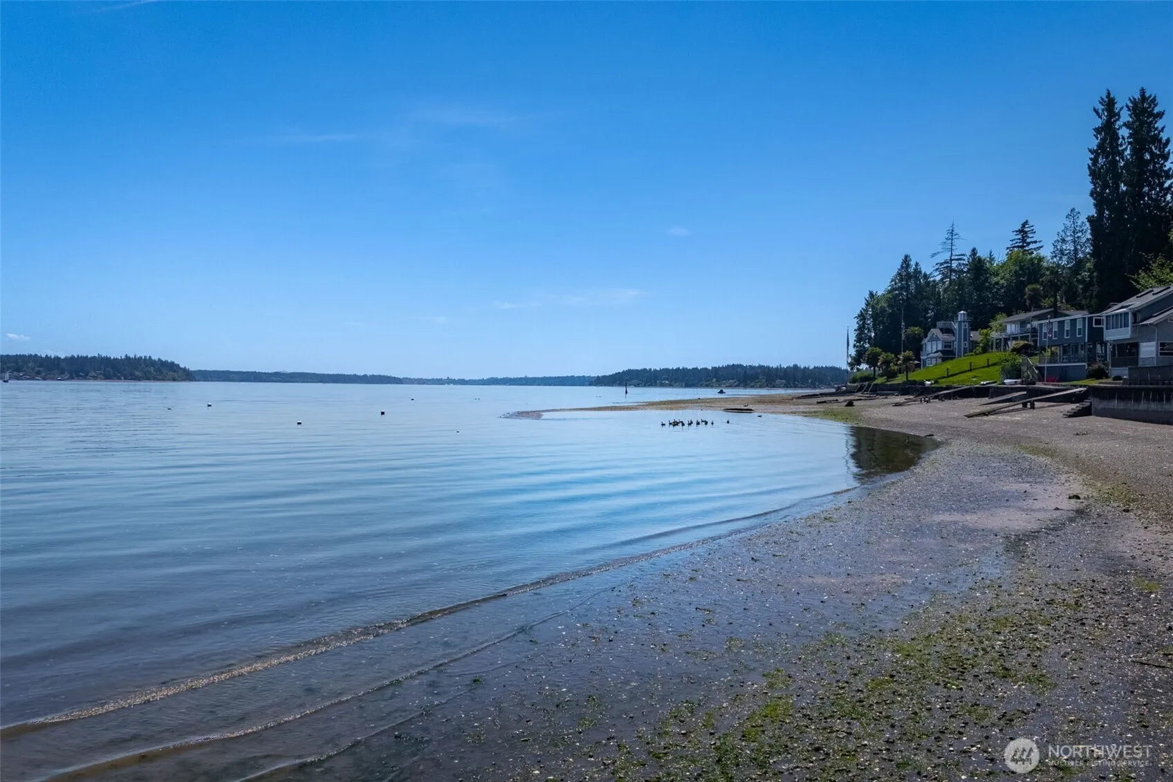 Property photo for 9230 B Hunter Point Road Nw, Olympia photo 4