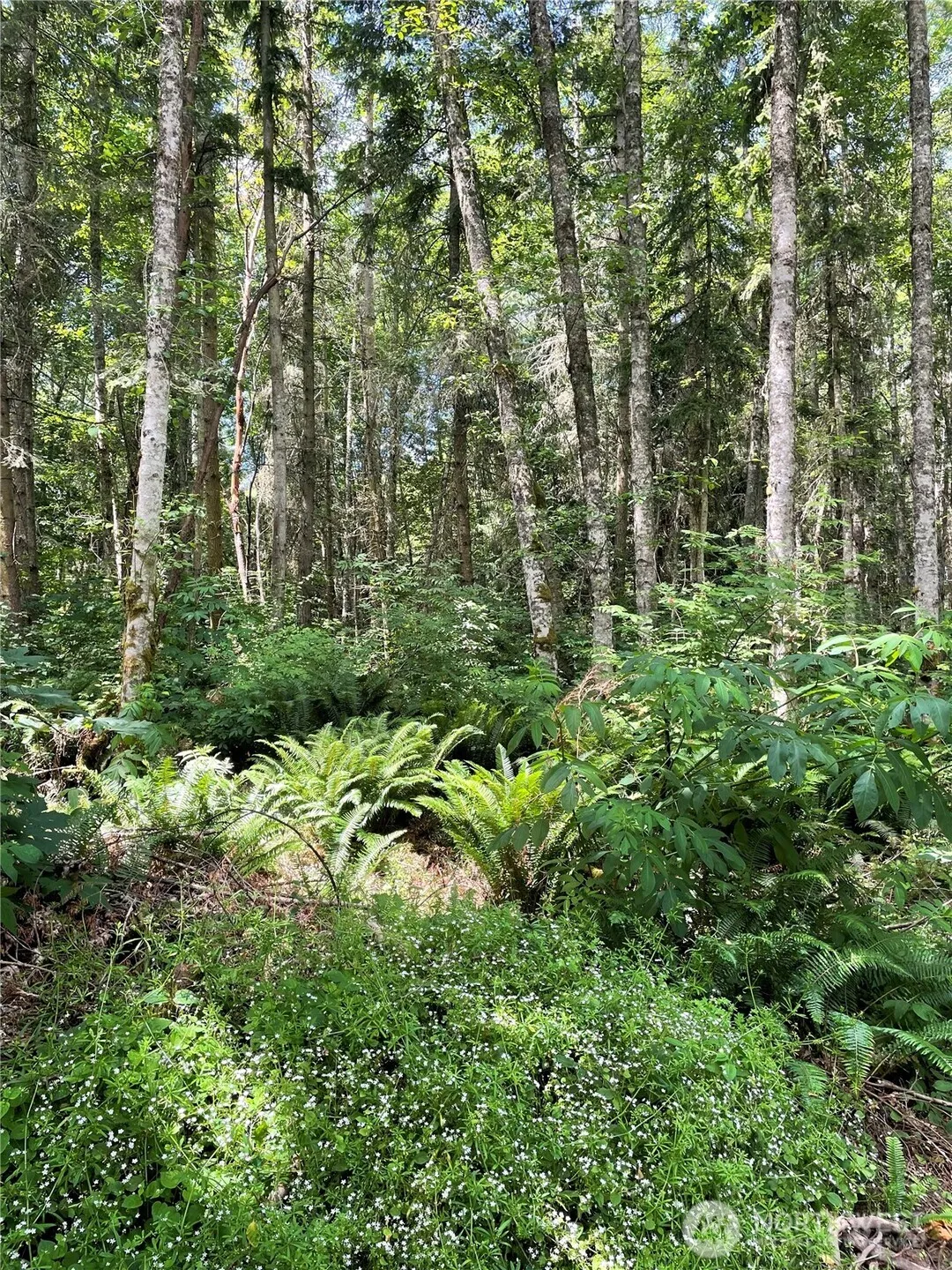 Property photo for 8807 Lot 2 Sr 20, Port Townsend photo 4