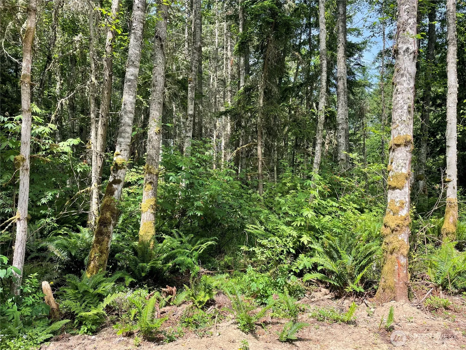 Property photo for 8807 Lot 2 Sr 20, Port Townsend photo 5