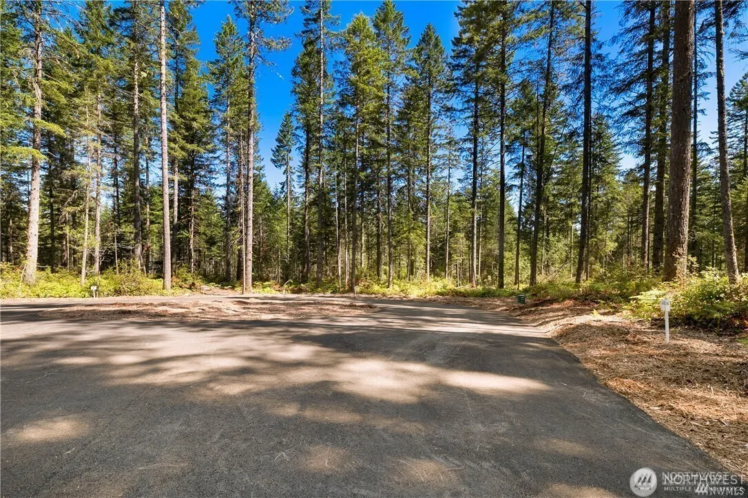 Property photo for 26 W Clear Lake Drive, Shelton photo 5