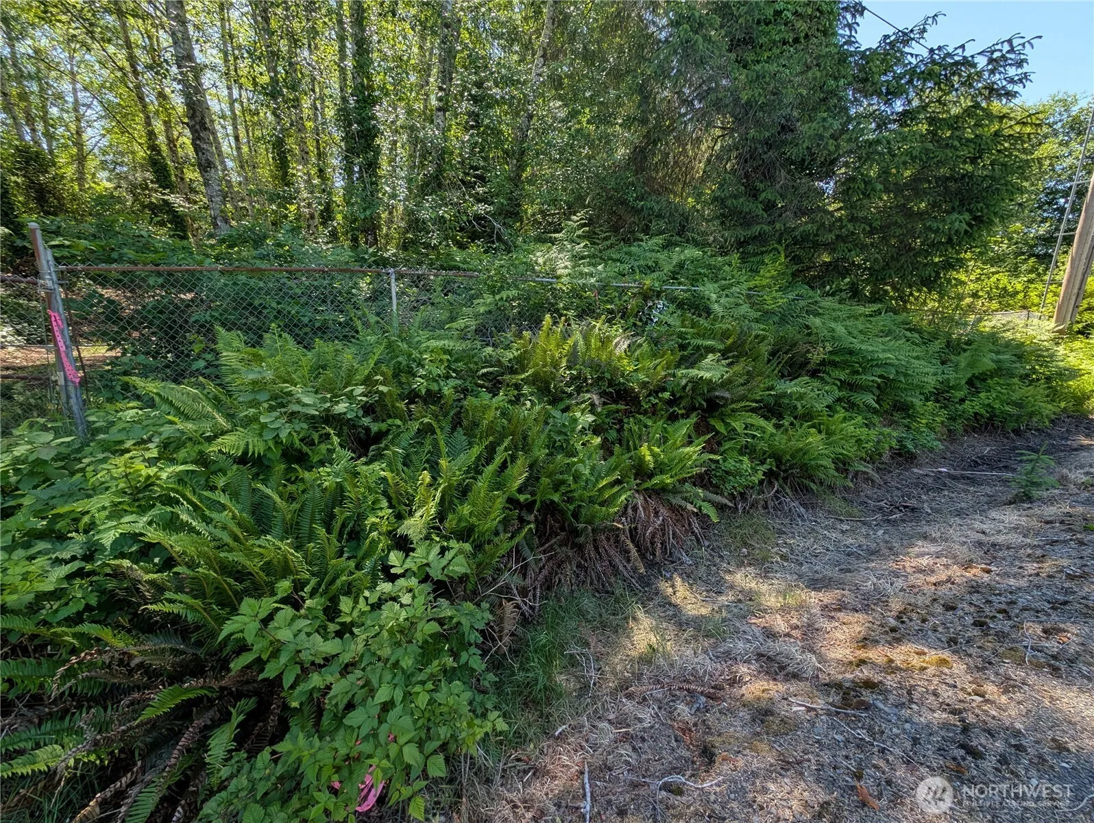 Property photo for 181327 Hwy 101 Highway, Forks photo 2