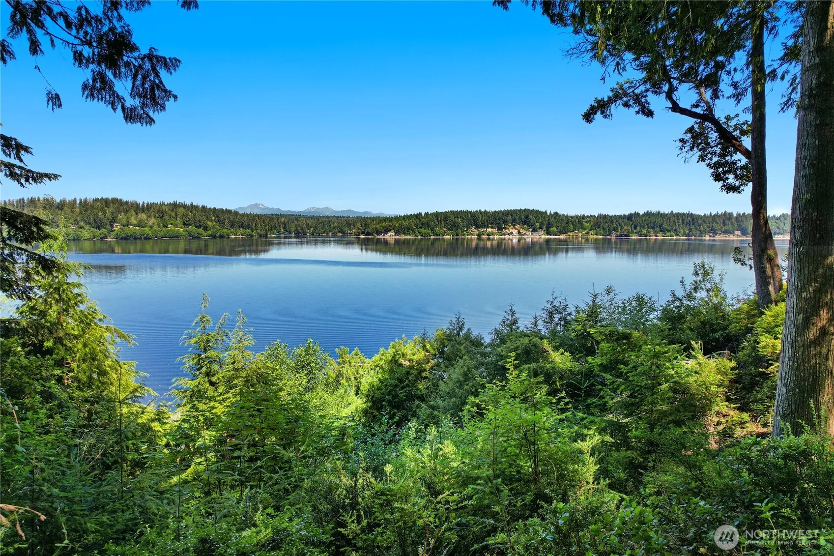 Property photo for 559 E Pointes Drive, Shelton photo 2