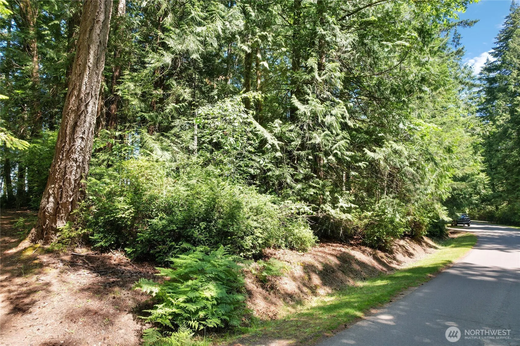 Property photo for 559 E Pointes Drive, Shelton photo 3