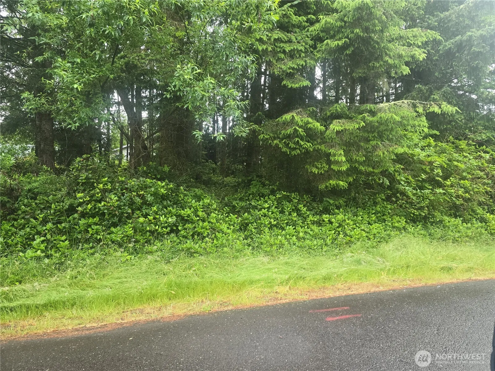 Property photo for 563 Weratherwax Loop Ne, Ocean Shores