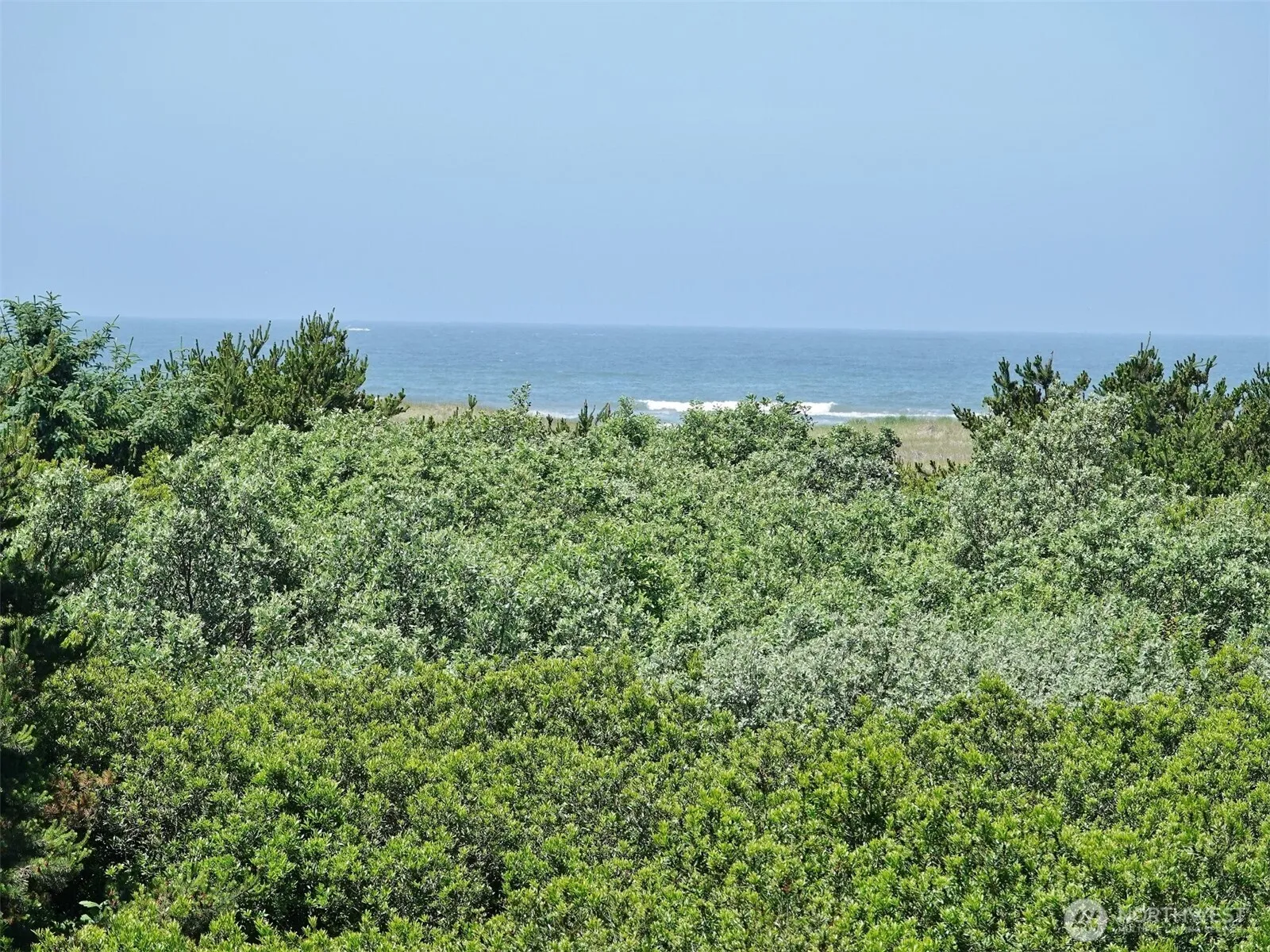 Property photo for 615 Ocean Shores Boulevard Nw #318, Ocean Shores photo 5