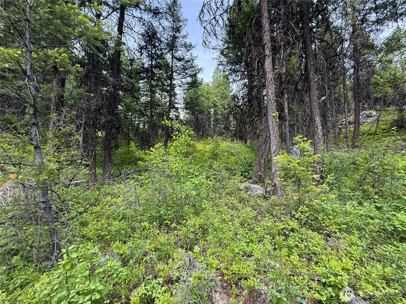 Property photo for 0 Mule Deer, Republic photo 2