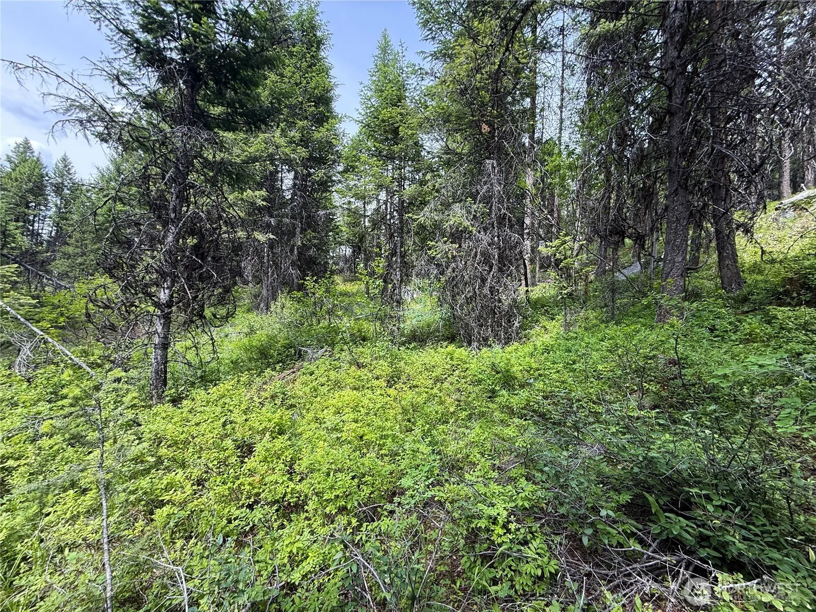 Property photo for 0 Mule Deer, Republic