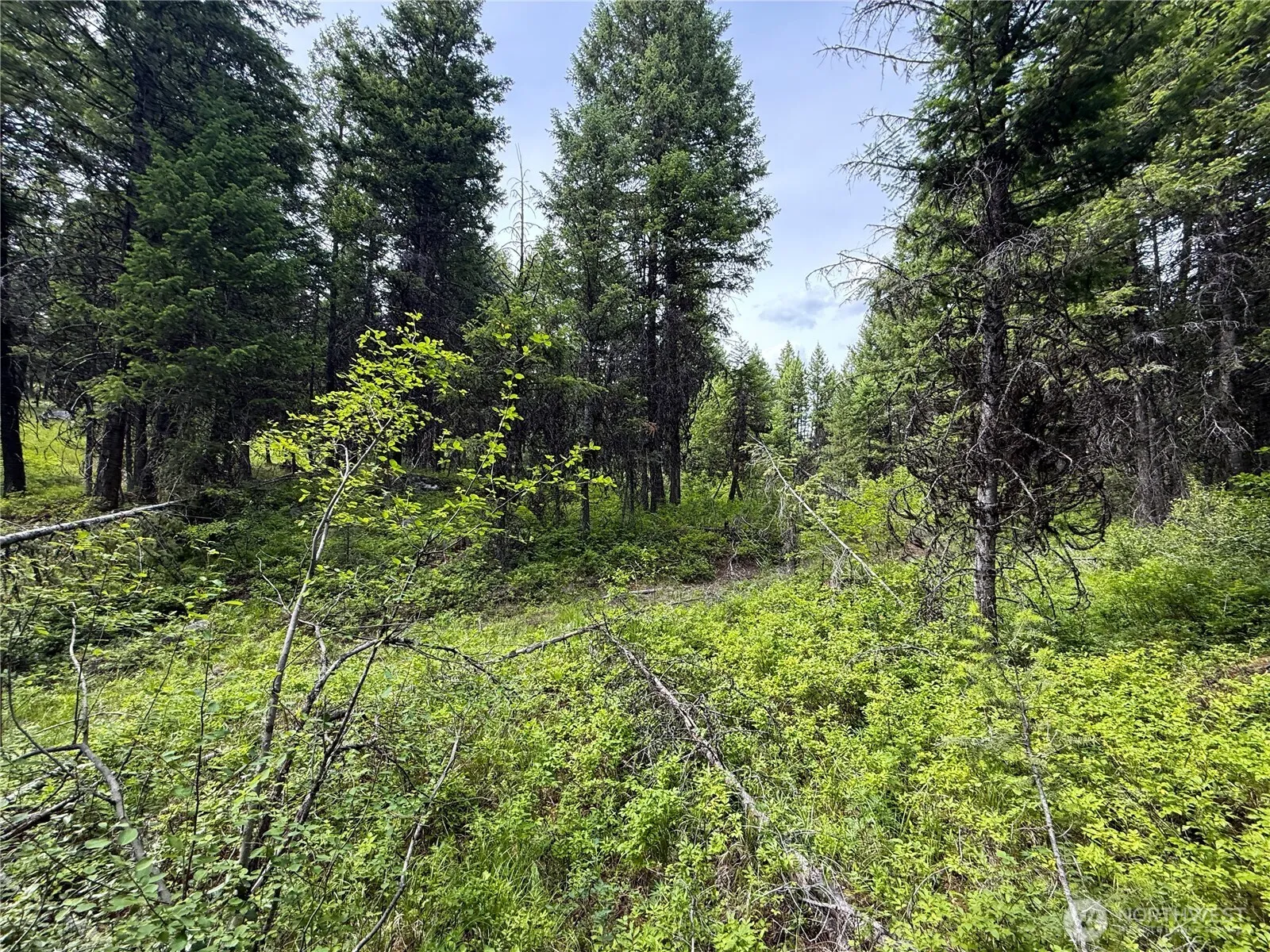 Property photo for 0 Mule Deer, Republic photo 3