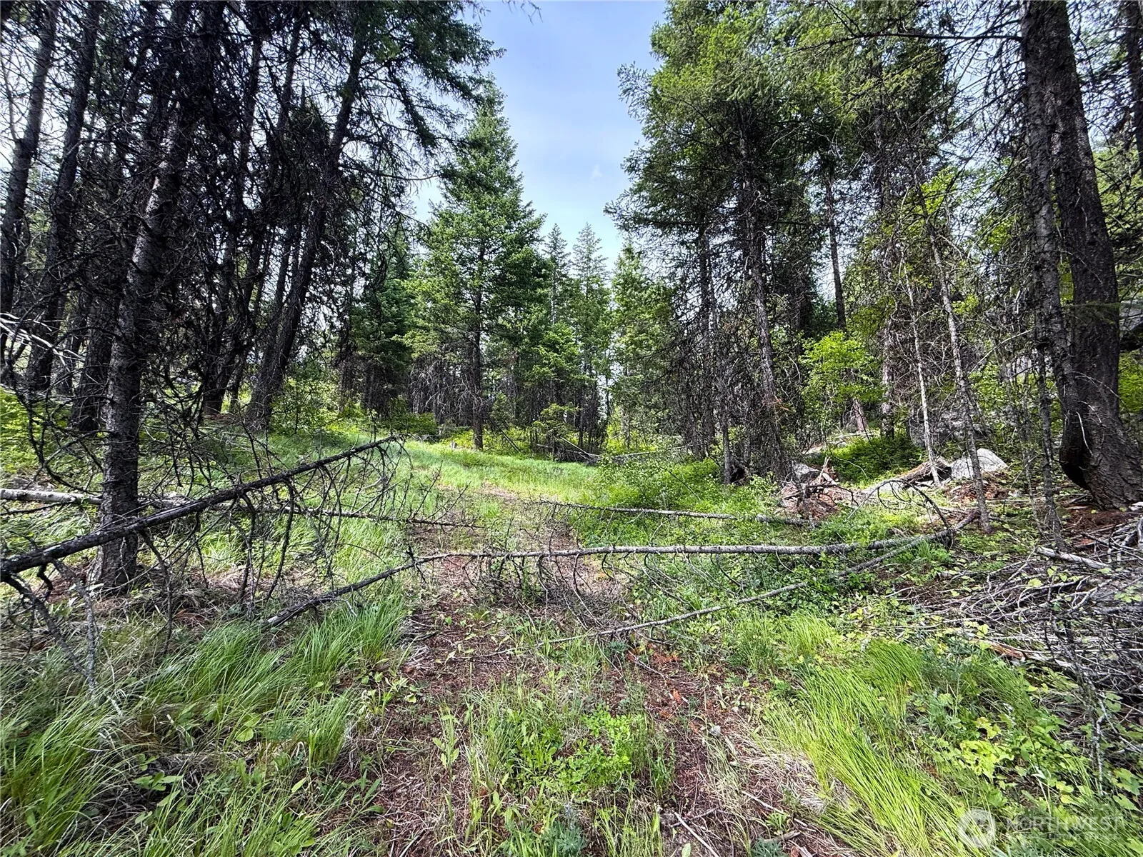 Property photo for 0 Mule Deer, Republic photo 5