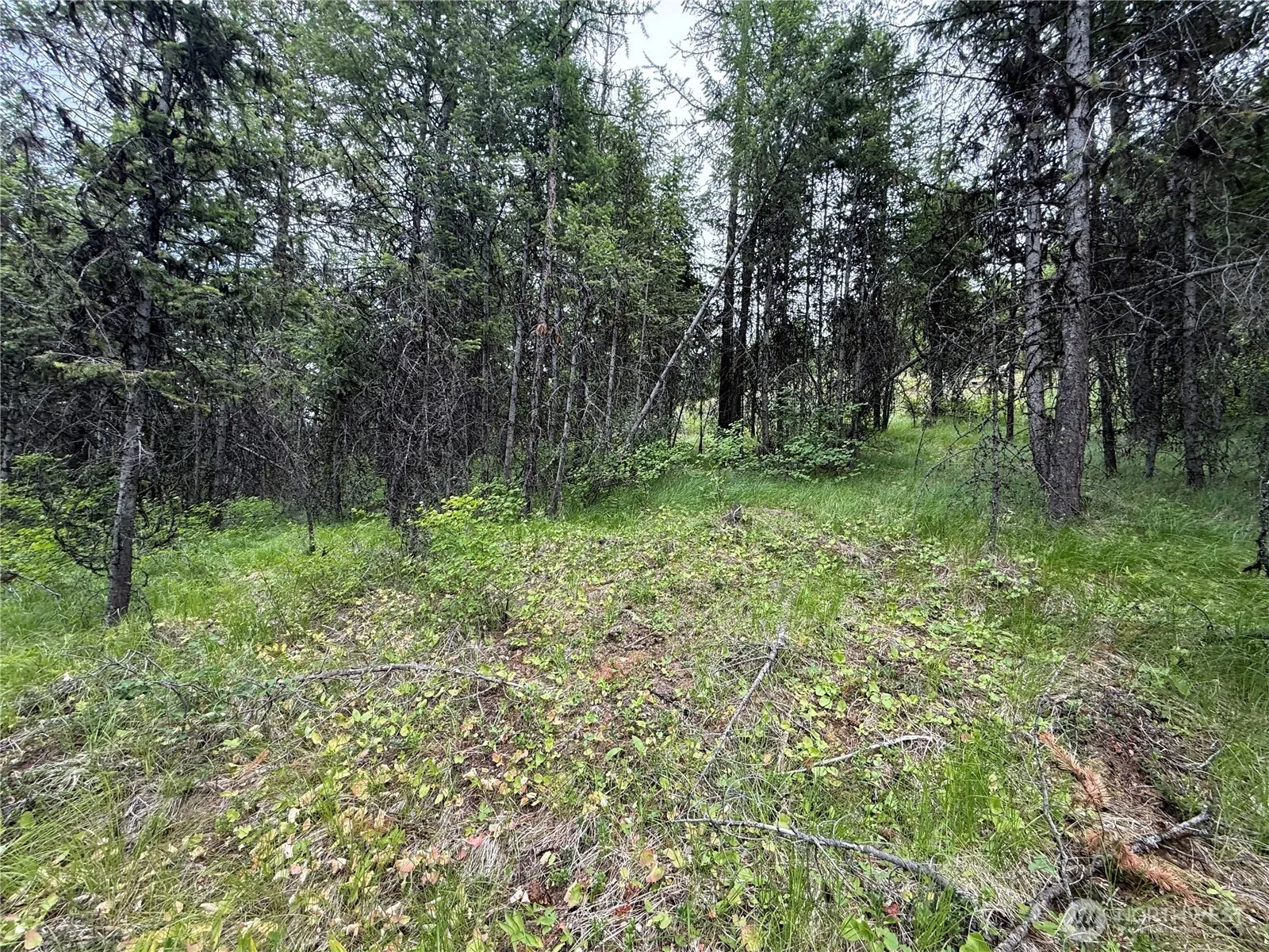 Property photo for 0 Mule Deer Road, Republic photo 2