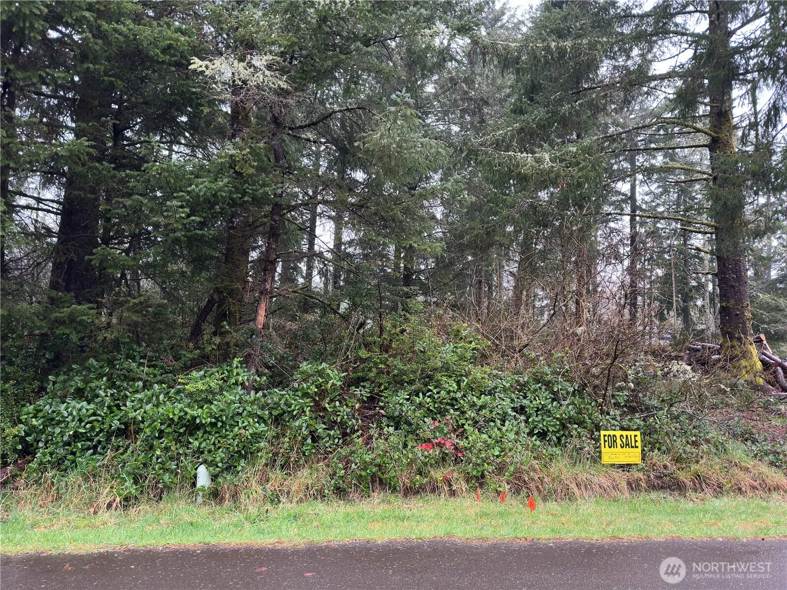 Property photo for 609 Weatherwax, Ocean Shores photo 2