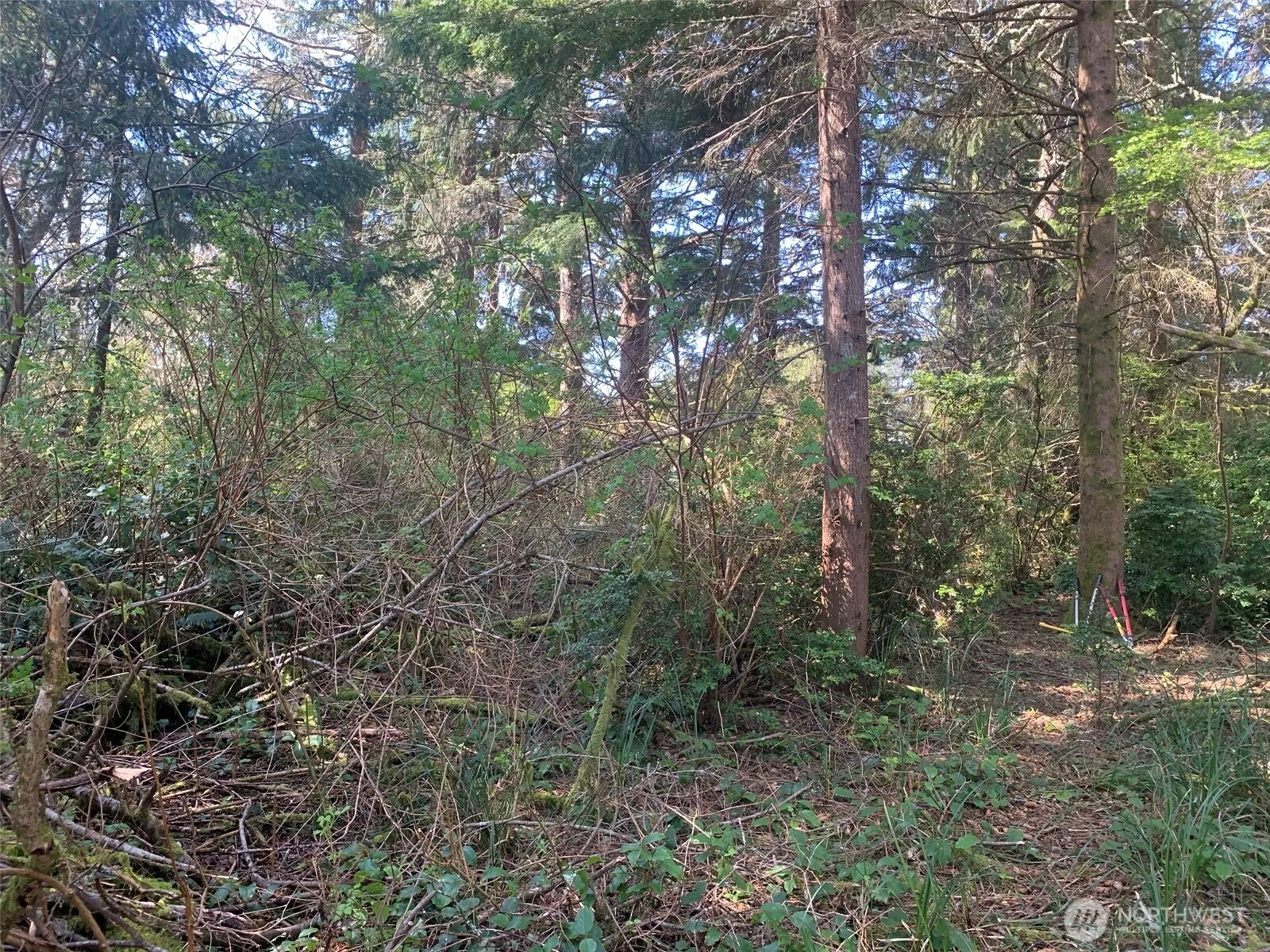 Property photo for 609 Weatherwax, Ocean Shores photo 5