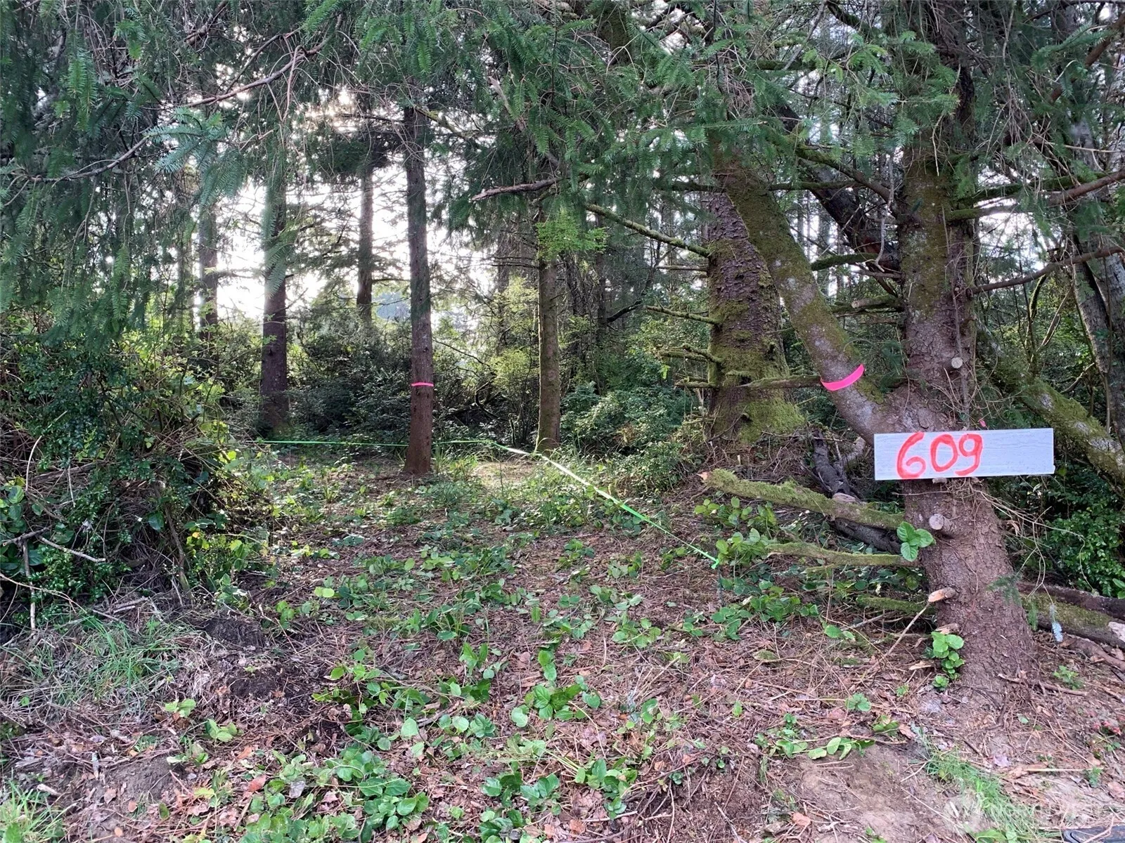 Property photo for 609 Weatherwax, Ocean Shores