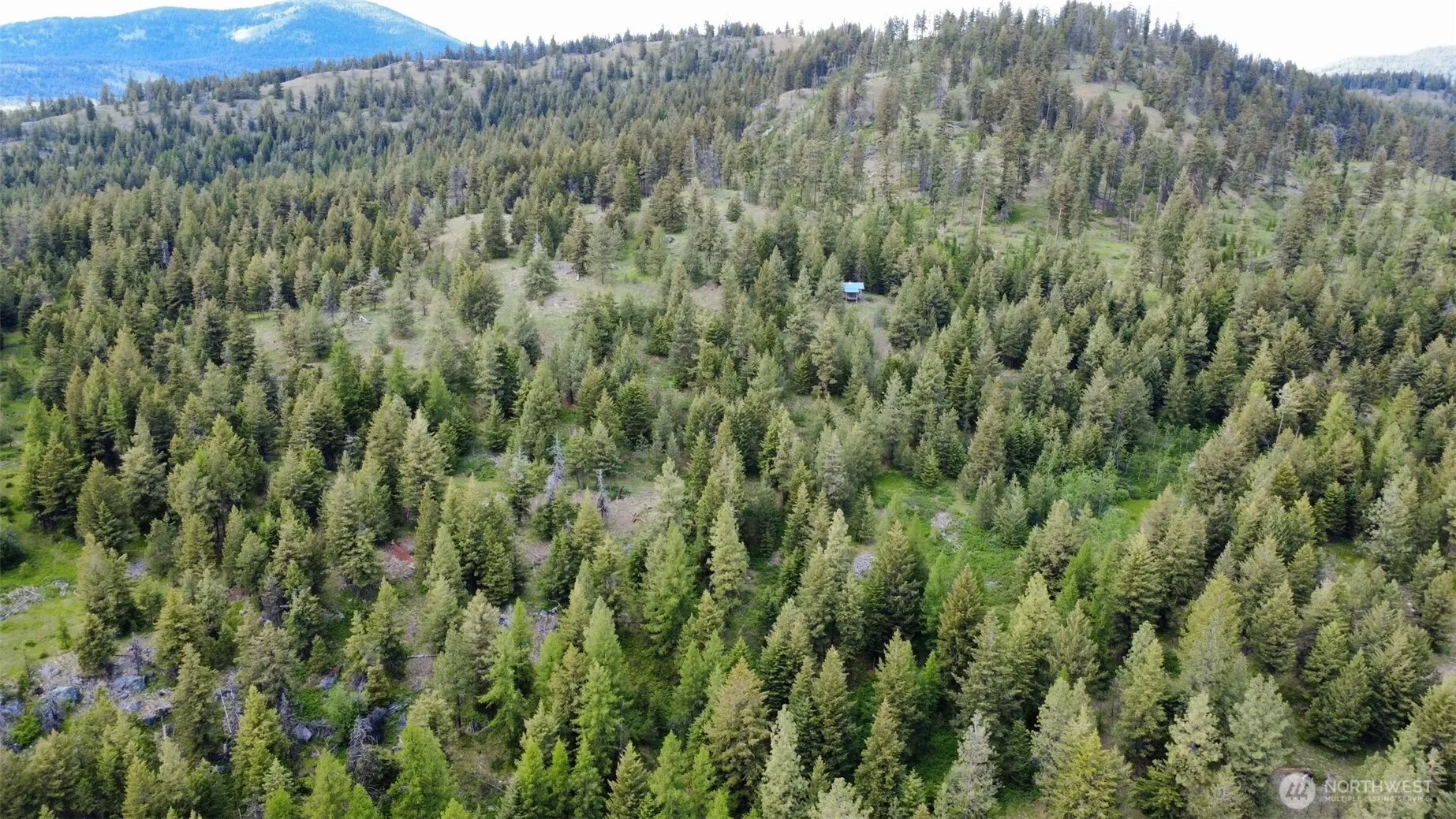 Property photo for 0 Tbd Blue Meadow Rd, Tonasket photo 3