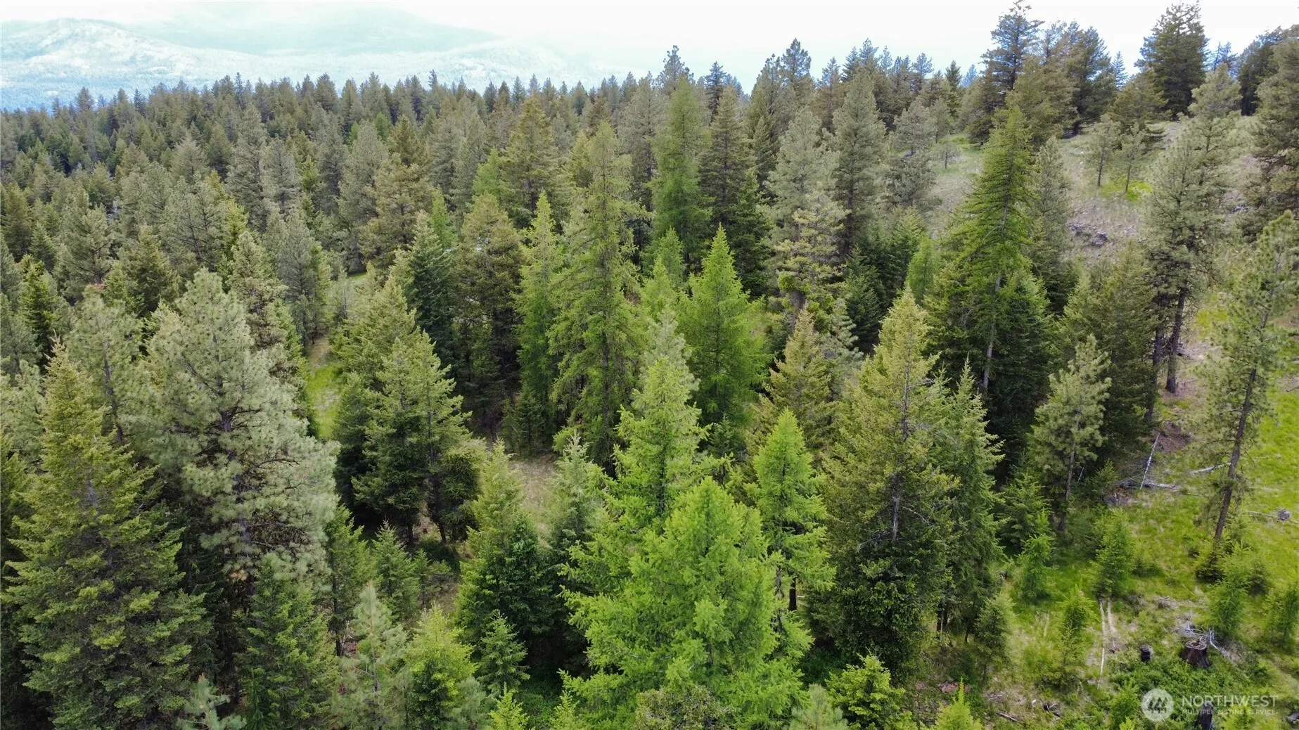 Property photo for 0 Tbd Blue Meadow Rd, Tonasket photo 5