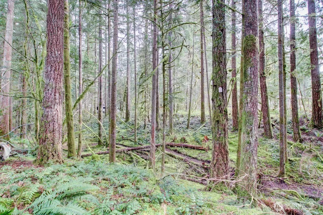 Property photo for 22 Wilderness Way, Deming photo 2