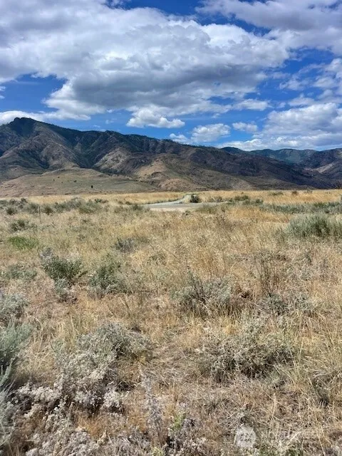 Property photo for 0 Lot 1, Pateros photo 4