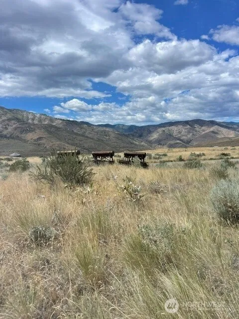Property photo for 410 Lot 2 Bill Shaw Road, Pateros photo 2