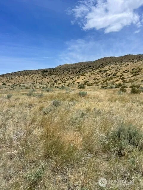 Property photo for 410 Lot 2 Bill Shaw Road, Pateros photo 4