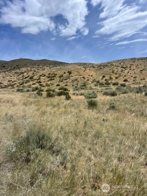 Property photo for 410 Lot 2 Bill Shaw Road, Pateros photo 5