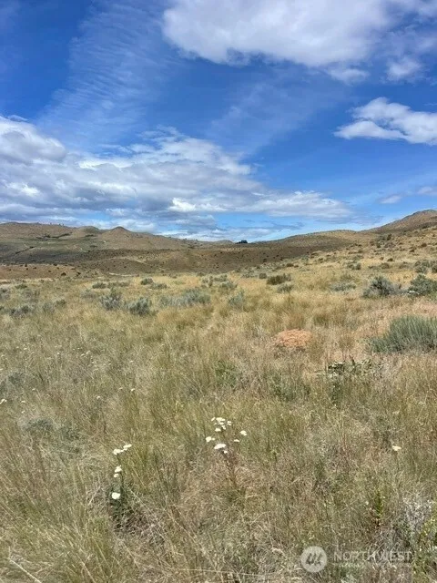 Property photo for 410 Lot 2 Bill Shaw Road, Pateros photo 3