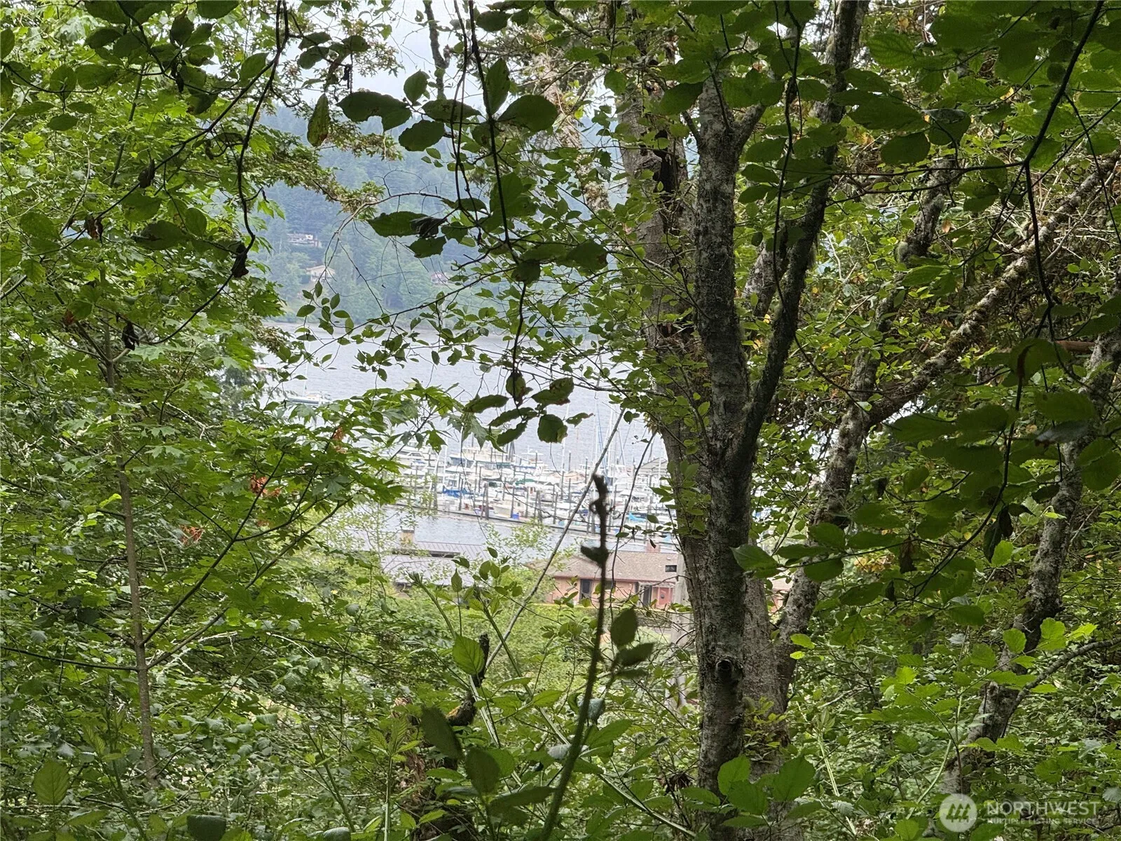 Property photo for 1234 Ne 11th Avenue, Poulsbo