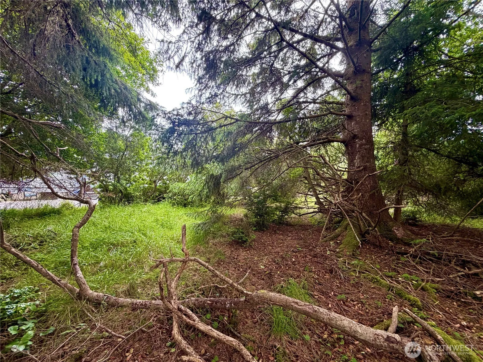 Property photo for 772 Island Circle Se, Ocean Shores photo 5