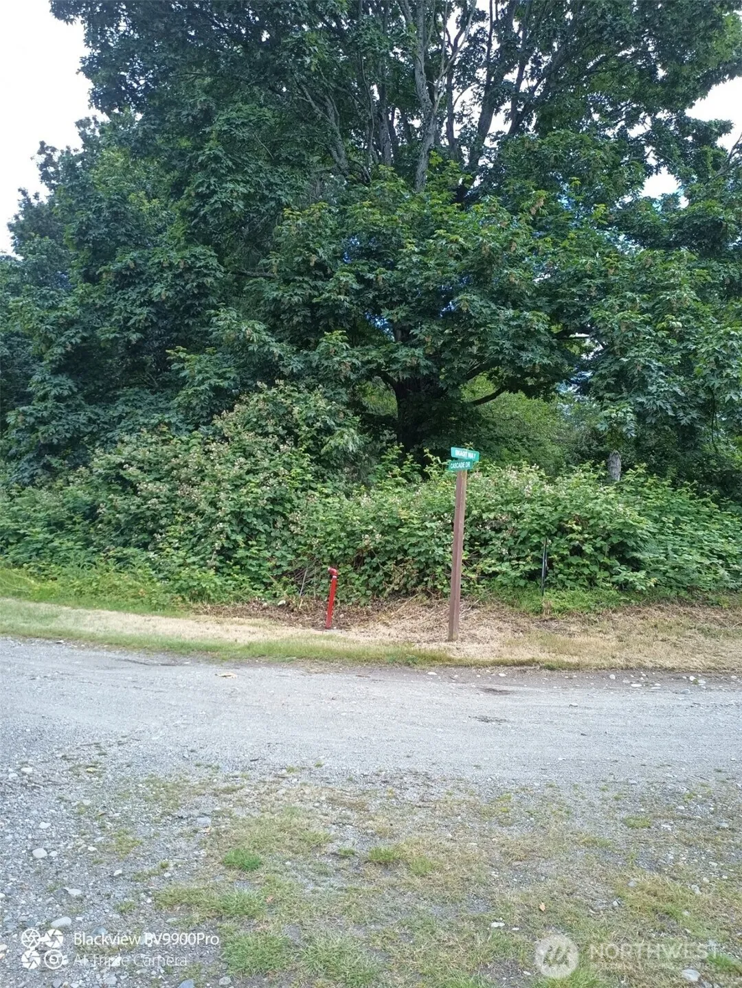 Property photo for 74 M Skagit Way, Hat Island