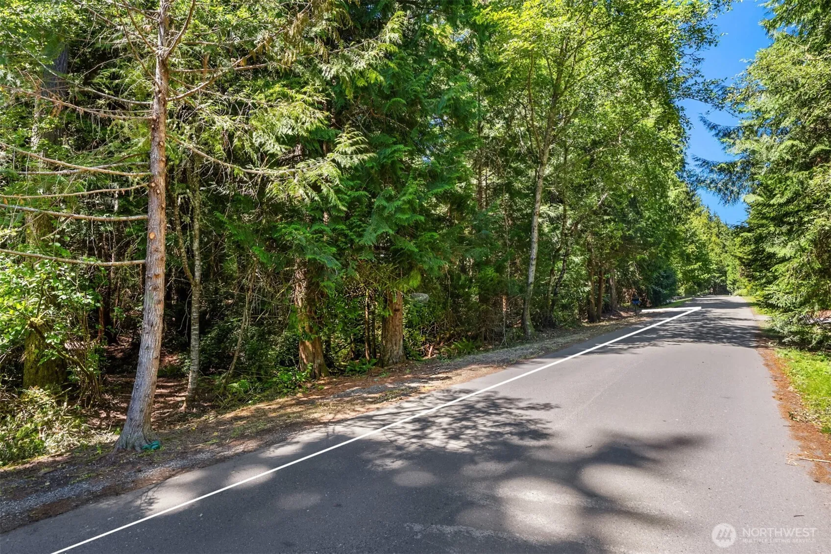 Property photo for 0 El Cimo Lane Ne, Bainbridge Island photo 5