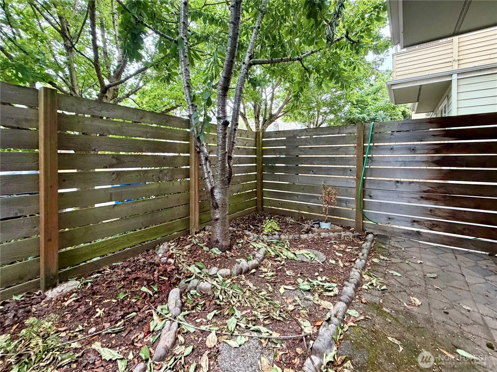 Property photo for 9216 Stone Ave N #b, Seattle photo 3