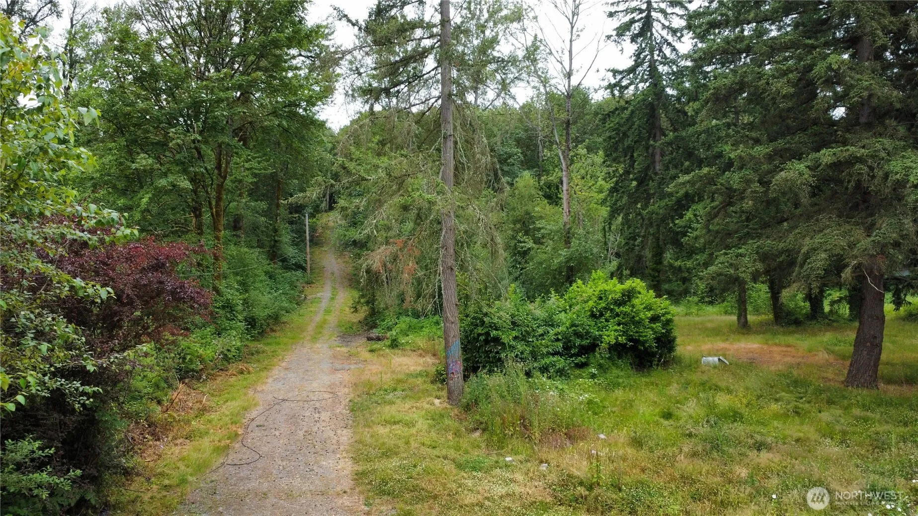 Property photo for 2647 S Star Lake Road, Federal Way photo 4