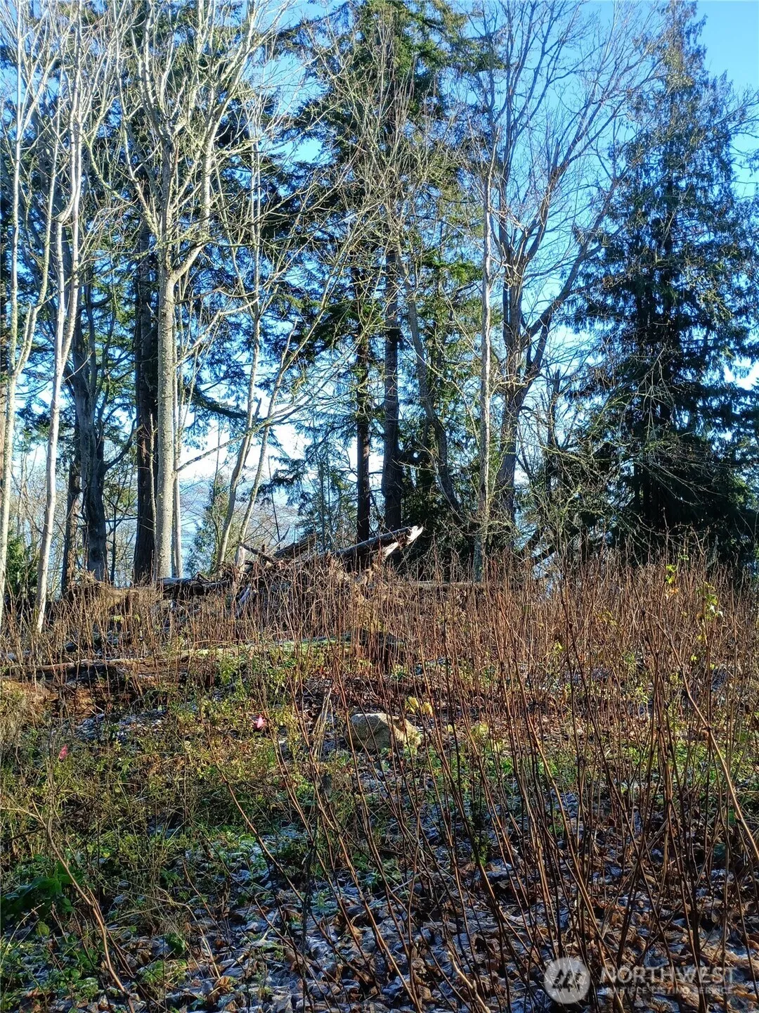 Property photo for 49 K Tulalip Way, Hat Island