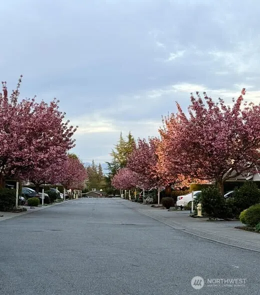 Property photo for 15414 Ave W 35th #54, Lynnwood photo 4
