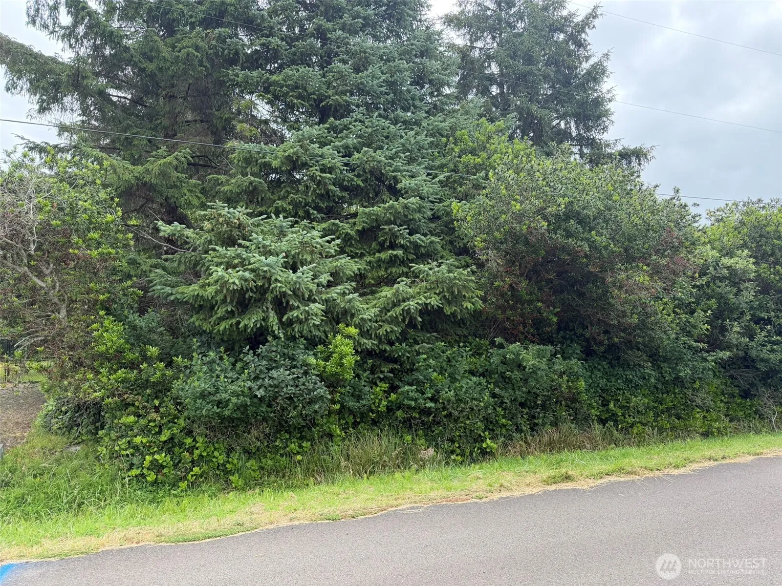 Property photo for 186 Wishkah Street Sw, Ocean Shores photo 2