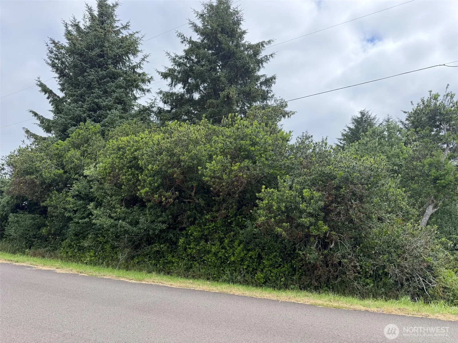 Property photo for 186 Wishkah Street Sw, Ocean Shores photo 5